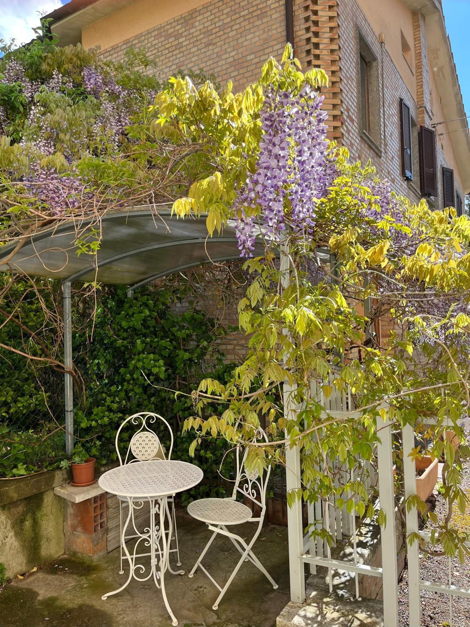 Il Glicine - Monolocale A Due Passi Dal Centro Villa Urbino Exterior photo